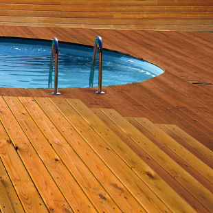 protext miel 1754645194.png