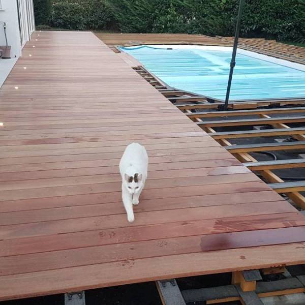 courson deckibois 3050 cumaru kd 1700934948.jpg