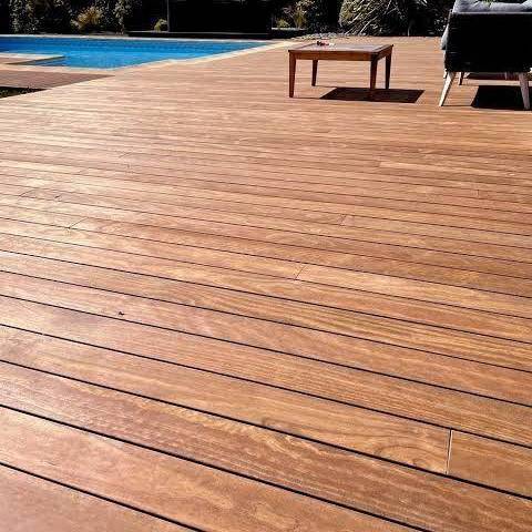 kebonyterrasseavisser 1769870849.jpg